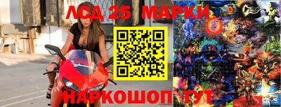 гашик Сланцы