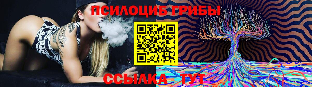 Псилоцибиновые грибы Magic Shrooms  Вход с VPN  дарнет шоп  Рассказово 