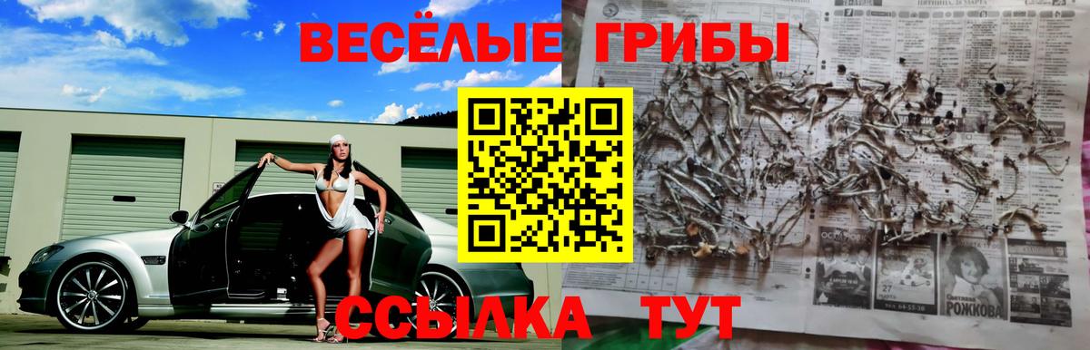 Галлюциногенные грибы прущие грибы Рассказово